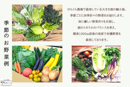定期便　４カ月　信州北八ヶ岳からお届け～ちいさな畑セット～（Mサイズ　２～３人前）有機野菜〔NK-01-4〕