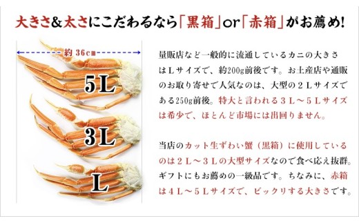 《12月1日～25日着》【お刺身OK】生ずわい蟹ポーション 1kg （総重量1.3kg）[024-c019]