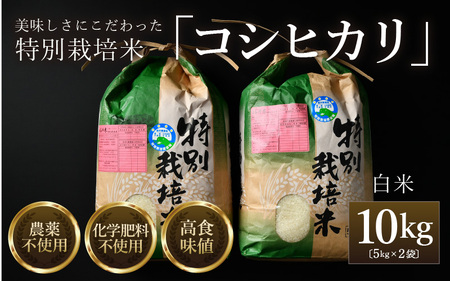 【先行予約】【令和7年産 新米】コシヒカリ 精米 5kg×2袋（計10kg） 特別栽培米 農薬不使用 化学肥料不使用 / 高品質 鮮度抜群 福井県産 ブランド米 ※2025年9月下旬以降順次発送予定 [aw063-c005]