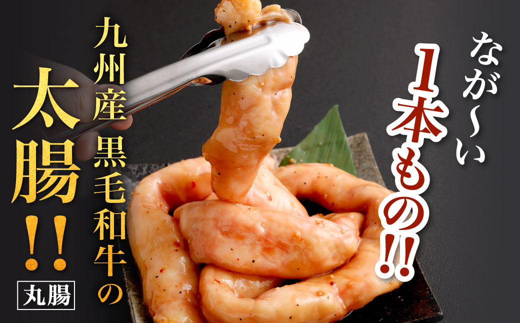 1本焼き たれ漬け 極太 ほるもん 太腸版 新鮮 ホルモン たれ タレ モツ もつ 牛モツ 牛もつ ぷりぷり 旨味 黒毛和牛 丸腸 真空パック 国産 九州産 冷凍