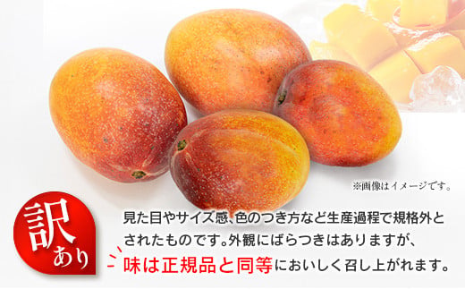 訳あり 完熟 マンゴー 約1.5kg （3玉～5玉） 宮崎県産 果物 フルーツ