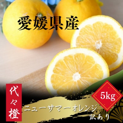 【初夏の味】【訳あり】ニューサマーオレンジ 5kg【C83−18】【1549108】