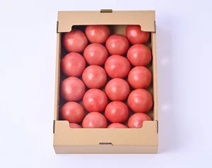志宝トマト 約 4kg [モアショップヤマモト 石川県 宝達志水町 38600650] トマト とまと 野菜 食品 石川県産_イメージ2