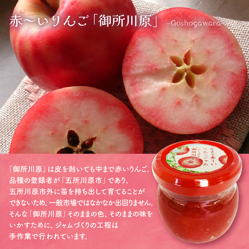 赤～いりんごのダックワーズ ポム・ルージュ（10個入・個包装） 焼菓子 お土産 中まで赤～いりんご御所川原ジャム使用