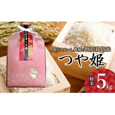 ふるさと納税 鶴岡市 【令和7年産】特別栽培米つや姫 精米 5kg 黒川まるいし農場[K-747]