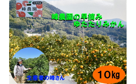 NB-13　峰農園の早摘みゆたたりみかん 10kg