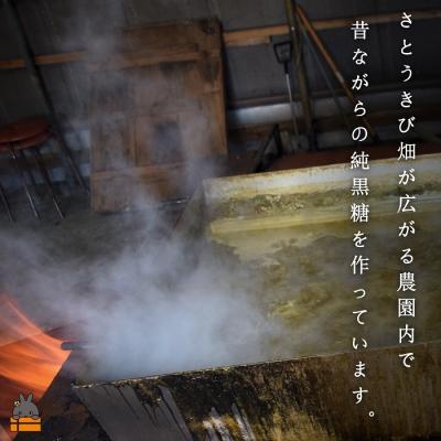 ふるさと納税 徳之島町 《今が旬!》〜人生で1度は食べてほしい〜徳之島の純黒糖(2袋)【ポストイン配送】 |  | 03