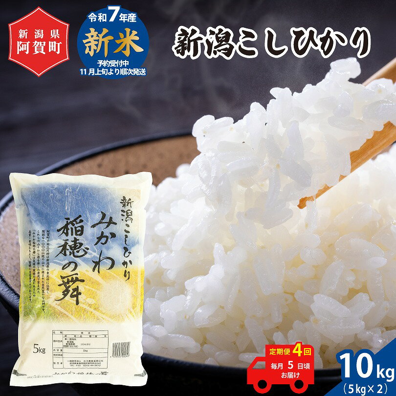 【ふるさと納税】 《先行予約》 ＜定期便 4回＞ 米 10kg 《 新潟県産 コシヒカリ みかわ稲穂の舞 》 令和7年産 5kg × 2袋 阿賀 三川 | 毎月 こしひかり 白米 精米 送料無料 お取り寄せ お米 金賞受賞 ※2025年11月上旬頃より順次発送
