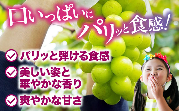 【先行予約】【2025年8月中旬から順次発送】シャインマスカット2kg（4から6房）愛媛県大洲市/有限会社ふじブドウ園 果物 くだもの フルーツ 葡萄 ぶどう マスカット [AGDB002]