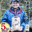 【ふるさと納税】筑波山麓 ・ 羽鳥の沢水米 コシヒカリ 5kg 米 お米 コメ 精米 白米 桜川市 茨城県