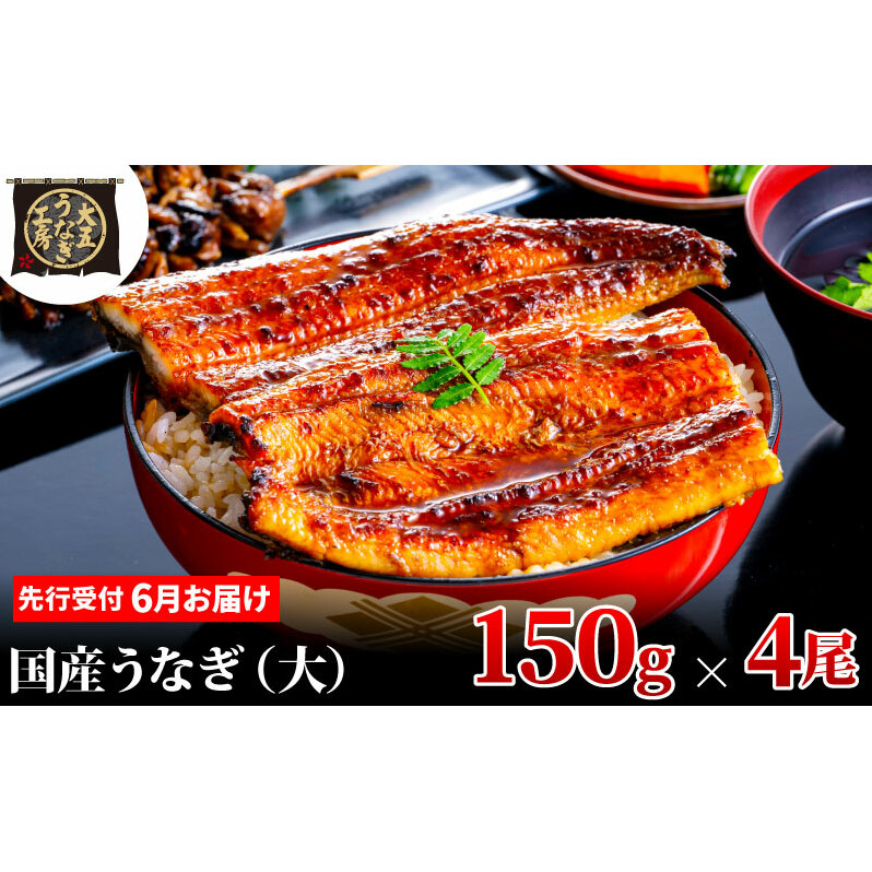 先行受付 【6月上旬配送】 うなぎ蒲焼 150g×4尾(600g) うなぎ 鰻 蒲焼 蒲焼き 大五通商 静岡 島田市