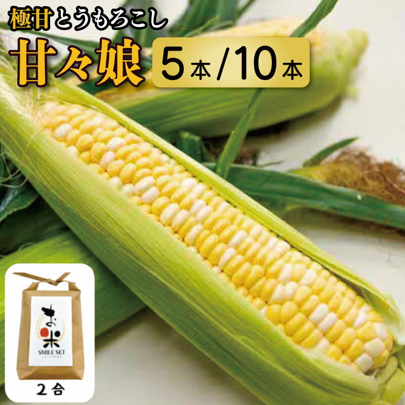 【ふるさと納税】 とうもろこし 米 2合 セット 選べる 5本 10本 甘々娘 期間限定 コメ お米 アキサカリ ごはん とうもろこしご飯 レシピ付き 夏 旬 野菜 鍋 炒め物 煮物 スープ 弁当 惣菜 おかず 健康 新鮮 国産 送料無料 吉野川市 徳島県
