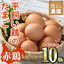 【ふるさと納税】＜お試し用＞ 平飼い赤鶏のたまご (計10個) 元さん農園 卵 玉子 卵かけご飯 玉子焼き 平飼い 鶏 鶏卵 養鶏場直送送 朝採れ 新鮮 大分県 佐伯市 【GE002】【 (株)海九】