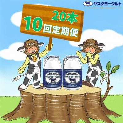 ふるさと納税 阿賀野市 【10ヶ月定期便】ヤスダヨーグルト 　150g×20本