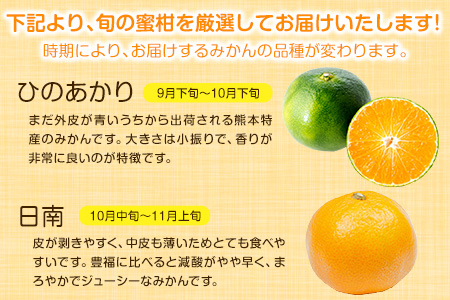 【先行予約】旬のみかん 10kg《9月中旬-2月末頃出荷》みかん