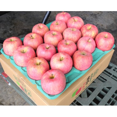 【26年4月出荷予定】平均糖度13度以上! 有袋ふじ 約5kg 訳あり CA貯蔵 クール便【配送不可地域：離島・沖縄】【1613049】