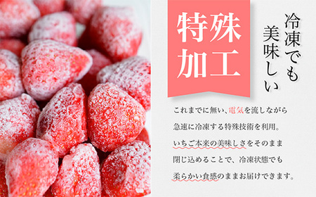 No.140 ☆お母さん応援☆ レシピ付き 大容量 冷凍いちご 1kg 冷凍 いちご