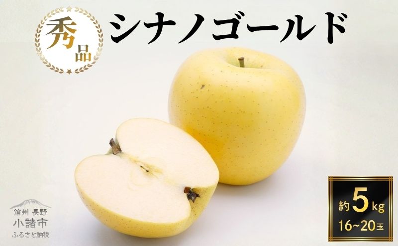 シナノゴールド 秀品 約5kg 16～20玉入 長野県産 果物類 林檎 りんご リンゴ フルーツ 小諸市