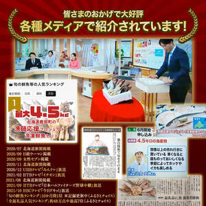 【順次発送】【緊急支援品】北海道鹿部町の漁師応援プロジェクト！ ”３Dエアブラスト凍結法”を使った冷凍鮮魚セット 4～4.5kg  加熱奨励 一部内臓、鱗処理済み 事業者支援 中国禁輸措置