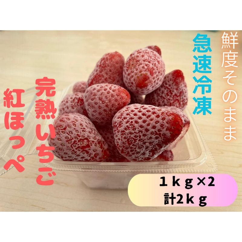 【ふるさと納税】鮮度そのまま!!急速冷凍完熟いちご(紅ほっぺ)1kg×2個セット　ふぁいんファーム 果物 冷凍いちご 冷凍フルーツ ストロベリー 国産 　お届け：2025年1月16日～2025年7月15日
