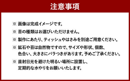 【D：飾り砂（ブルー系）×1袋】 おうちで作ろう♪ 苔テラリウム 手づくりキット 小瓶 選べるアイテム 【おうち時間】【インテリア】 育て方のしおり 付き 植物 テラリウム 苔テラリウム 苔 こけ コ