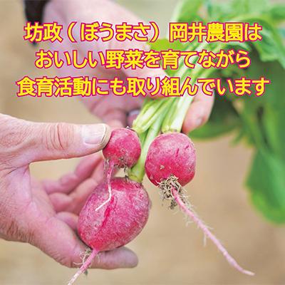 ふるさと納税 久御山町 訳あり　季節の野菜セット4〜6品詰め合わせ |  | 02