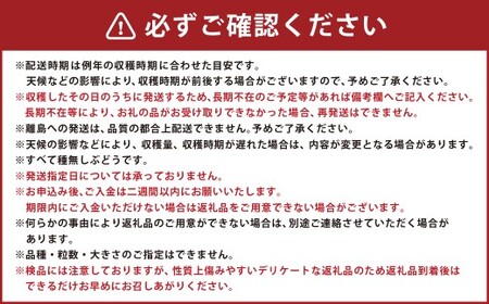 たっぷり日光を浴びたみずみずしい種無しぶどう3種セット ( シャインマスカット ＋ 旬なぶどう ) 約4kg 産地直送 フルーツ マスカット 果物 高級 ぶどう【2026年9月下旬-10月上旬順次発送