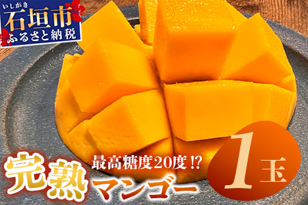《2025年6月下旬～7月下旬発送》【先行予約】最高糖度20度！？ 完熟！3Lサイズ 石垣島マンゴー 1玉入り約400g【 沖縄 石垣島 石垣 八重山 マンゴー 完熟マンゴー 期間限定 数量限定 】TF-10-1