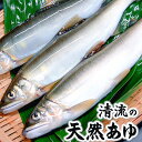 【ふるさと納税】清流の天然あゆ(冷凍)食べやすいサイズ　8尾　兵庫県新温泉町産　【配送不可地域：離島】【1346411】