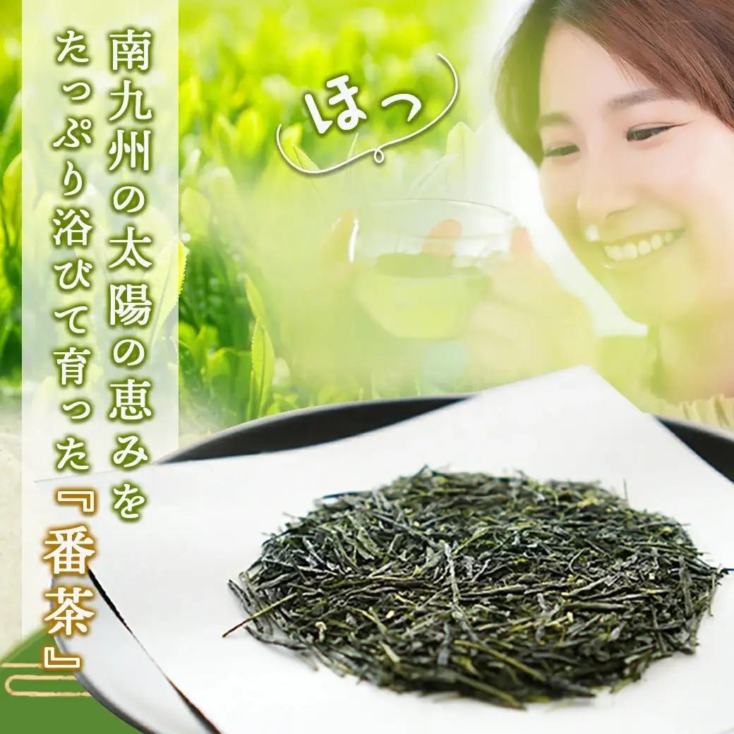 どどーんと緑茶詰合せセット 600g(200g×3袋)≪みやこんじょ快速便≫〔LE-C301-R〕_(都城市) 茶の葉 番茶 緑茶 斉光園