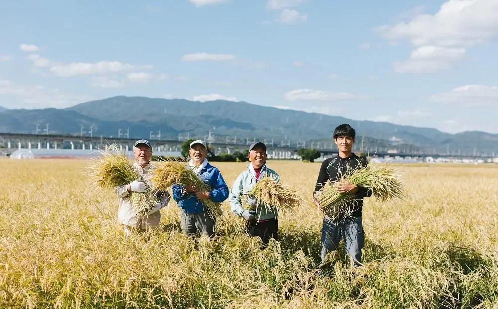 米【令和7年産】 夢つくし 10kg セット| 米 