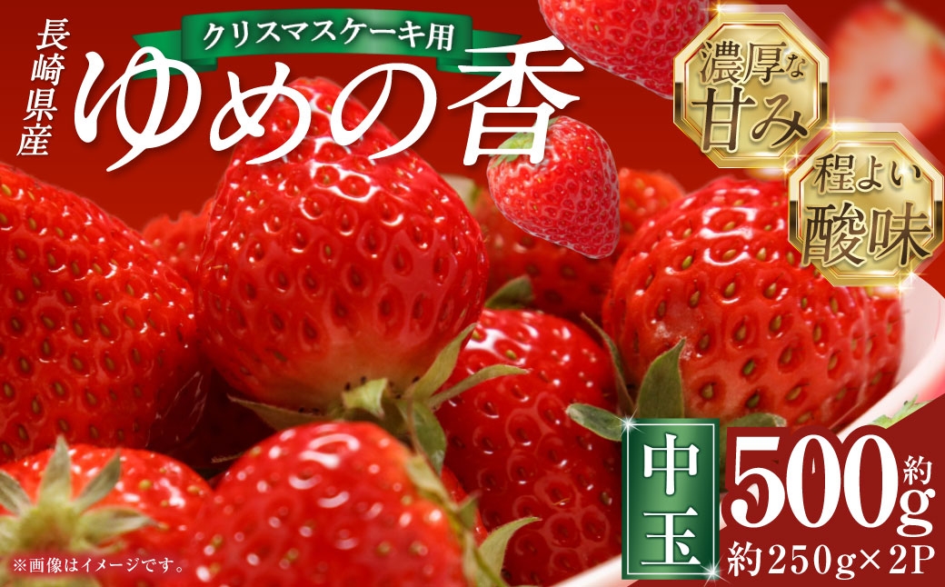 
                  【選べるお届け日・年内発送】★クリスマスケーキ用★ いちご ゆめの香 計約500g（250g×2パック） 中玉 20～23粒入り ／ イチゴ 苺 フルーツ 果物 くだもの わたる農園 長崎県 長崎市
                