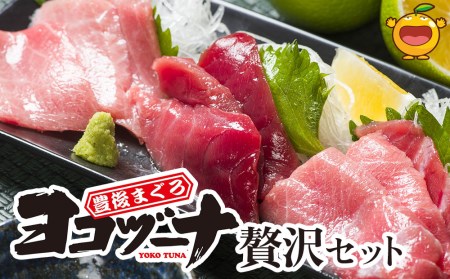 豊後まぐろ ヨコヅーナ 贅沢セット 赤身250g 中トロ500g 大トロ250g入りの豪華セット 大分県産 九州産 津久見市 国産【tsu0003017】