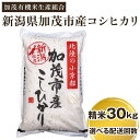 【ふるさと納税】【2024年先行予約】令和6年度産新米 新潟県加茂市産コシヒカリ 精米30kg（5kg×6） 選べる配送回数（通常配送1回～定期便12回）白米 加茂有機米生産組合