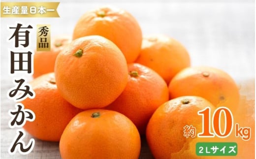 紀州有田みかん　秀品　約１０kg　２Ｌ 【sml129A】 ※2025年11月下旬～2026年1月中旬頃順次発送予定