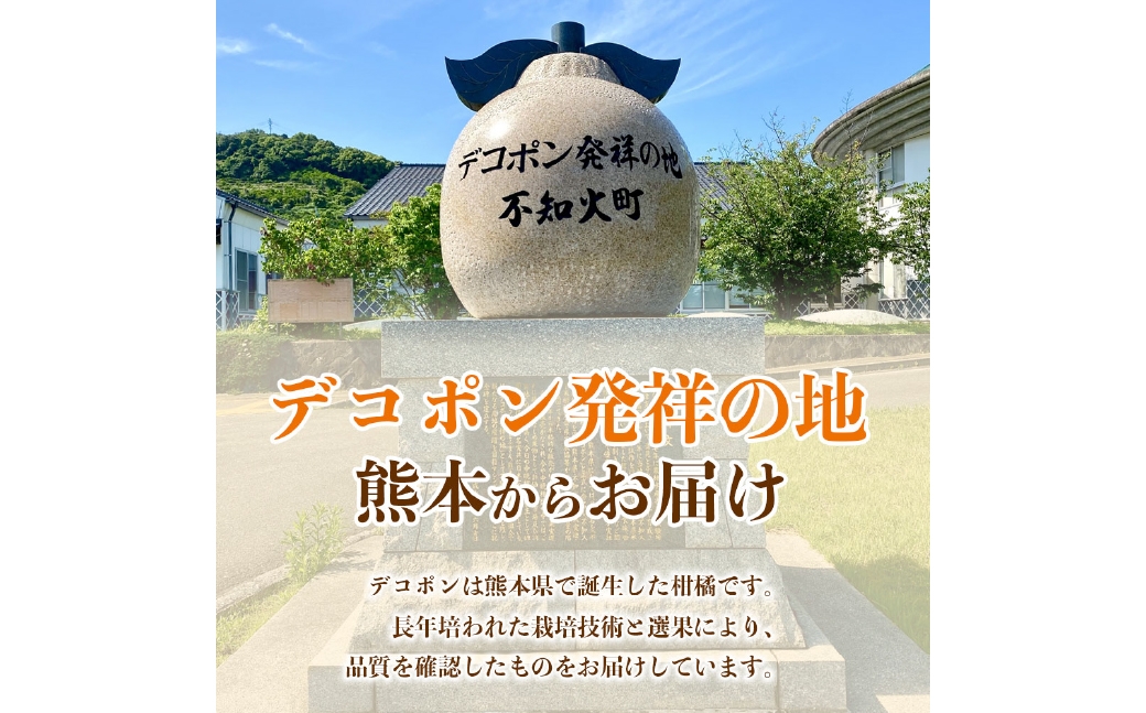デコポン6〜13玉約3kg