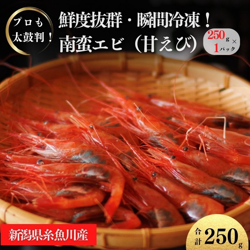 【ふるさと納税】甘エビ 250g×1パック 日本海直送 瞬間冷凍 プロも太鼓判！ 際立つ甘さと鮮やかさ 新潟県 糸魚川市 伝兵水産 えび 海老 南蛮エビ【 海老 えび エビ アマエビ あまえび 殻付き 有頭 生食 刺身 魚介類 魚貝類 国産 人気】