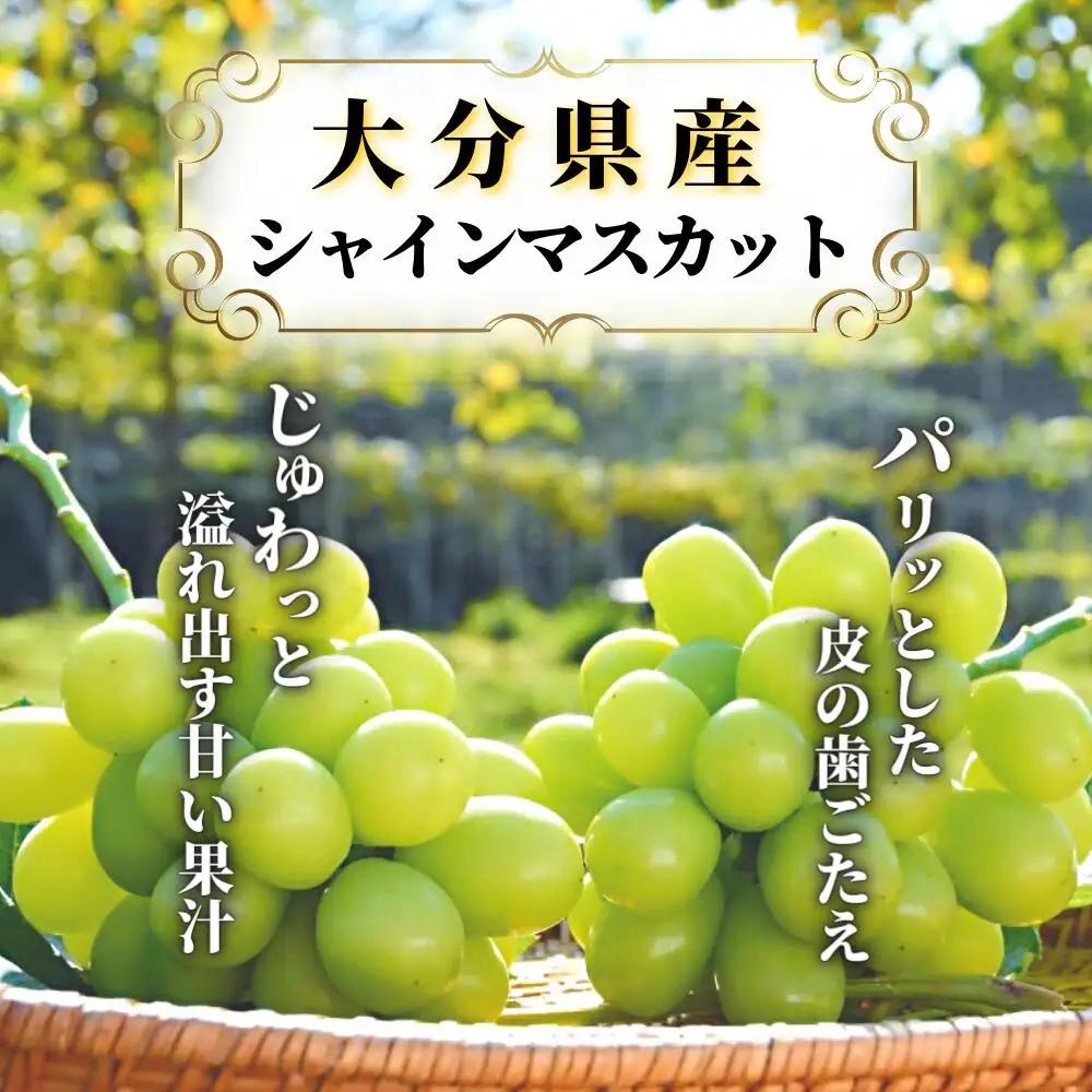 シャインマスカット《先行予約》至極の果実シャインマスカット2kg
