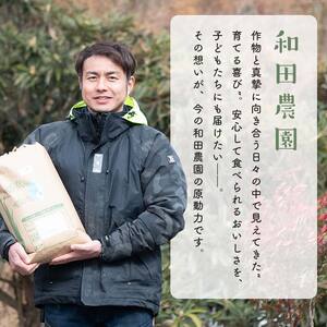 〈先行予約 2025年産米〉【米の定期便】福島県鏡石町産 和田農園「コシヒカリ」玄米5kg 6か月連続  F6Q-304