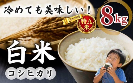 
                  白米8kg（4kg×2袋） 特A米 冷めても美味しいコシヒカリ【小田農園】｜最短4～7日程度でお届け　※着日指定不可
                
