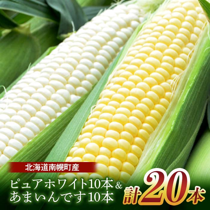 【ふるさと納税】令和8年発送 北海道産 とうもろこし 食べ比べ ピュアホワイト10本＆あまいんです10本 朝採れ 一番果 産地直送 南幌町 NP1-171