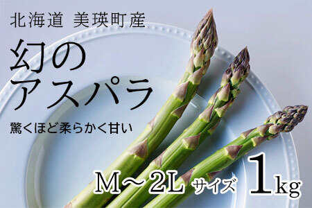 【令和8年産先行予約】美瑛町幻のアスパラ 本山農場のラスノーブル（グリーンアスパラ）M～2Lサイズ 1kg アスパラガス [014-95]