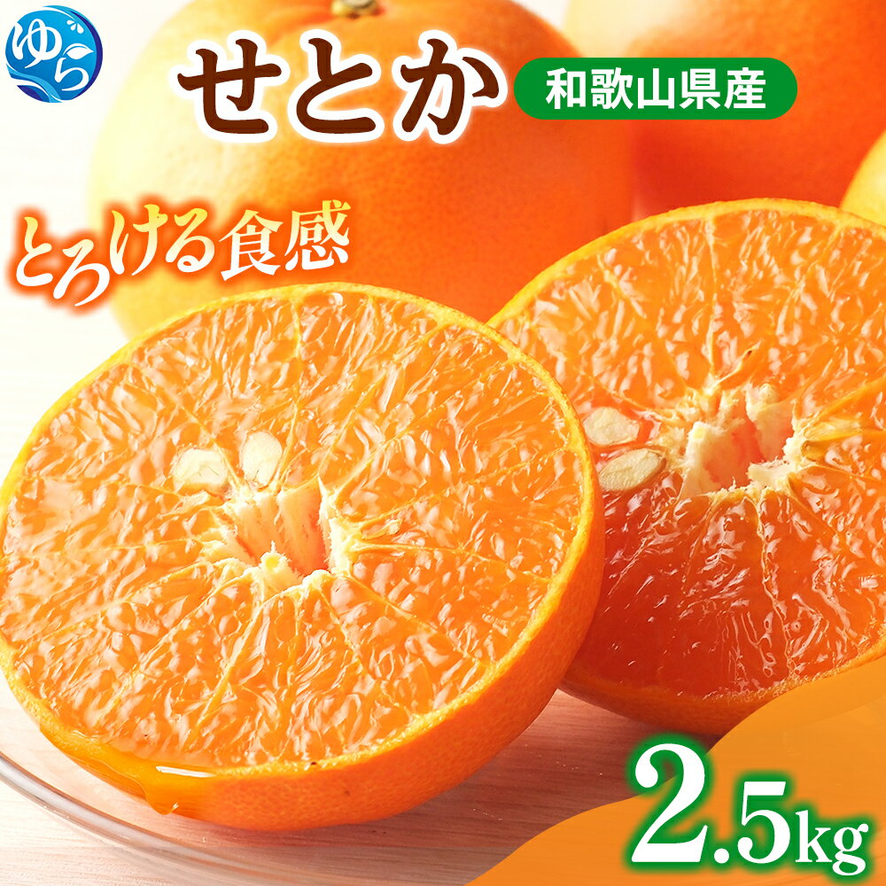 【ふるさと納税】紀州有田産せとか約2.5kg　とろける食感！ジューシー柑橘【2026年2月上旬以降発送】【先行予約】【UT02】 | 和歌山県由良町 ふるさと 納税 取り寄せ お取り寄せ フルーツ お取り寄せフルーツ ご当地 果物 柑橘 柑橘類 かんきつ類 くだもの
