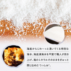  海底湧水塩うっしお 100g　YE01