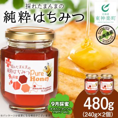 ふるさと納税 東神楽町 東神楽産採れたまんまの純粋はちみつ 240g2個【9月採密】