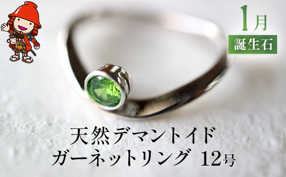 
                  誕生石 1月 天然デマントイドガーネット 指輪 | リング 12号 レディース PT900 プラチナ アクセサリー 婚約指輪 プロポーズ 結婚指輪 誕生日 婚約 結婚 母の日 プレゼント 祝 記念日 女性 贈り物 大分県 中津市
                