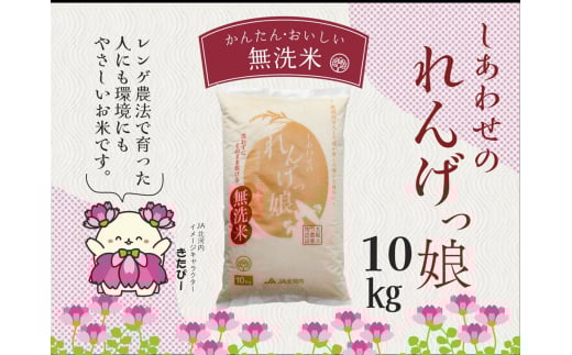 しあわせのれんげっ娘10kg (無洗米)｜お米 おこめ 米 コメ 白米 ご飯 ごはん おにぎり お弁当 [0266]