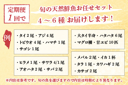 【定期便】全6回(隔月発送)【加福鮮魚】「若狭小浜港産地直送」旬の天然鮮魚お任せセット！地魚 下処理済み 刺身 煮魚 焼き魚[L-015002]　