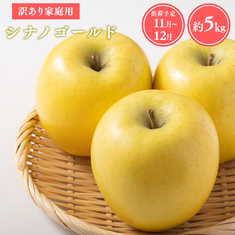 ≪令和8年産先行受付≫家庭用シナノゴールド約5kg【青森県 平川市 山内ファーム】家庭用 平川市産 青森りんご りんご リンゴ 林檎 シナノ ゴールド お取り寄せ 先行予約 果物 くだもの フルーツ