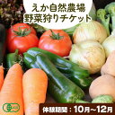 【ふるさと納税】野菜狩りチケット 10月-12月 株式会社えか自然農場《30日以内に出荷予定(土日祝除く)》収穫 体験 野菜 やさい チケット 流山市